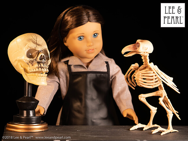 Happy Halloween from Lee & Pearl! We found these ghoulishly great doll-scale items at Dollar Tree!