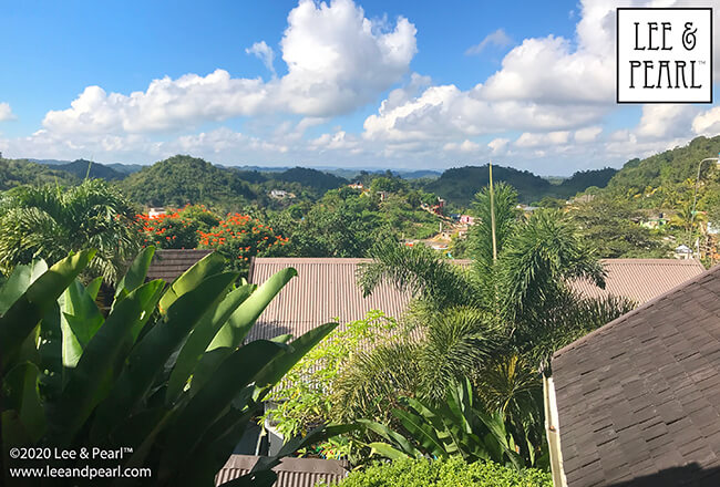 We’ve got a newsletter treat this week! Join Lee in JAMAICA as she goes fabric shopping in Ocho Rios and finds sewing machines — and beautiful dolls — in the mountains at the Bob Marley birthplace museum.