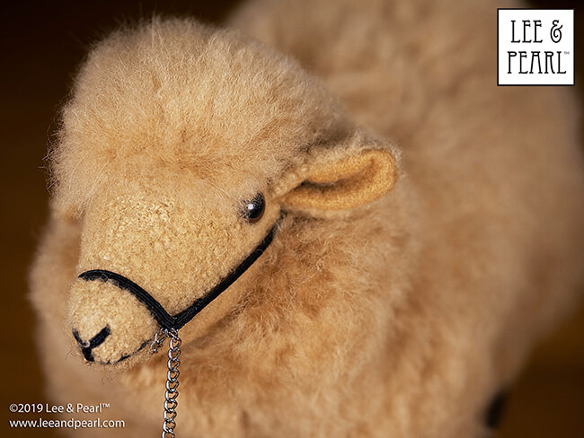 Recently, Lee & Pearl spent a fun day at the Fort Worth Stock Show and Rodeo. We learned that sheep showing is a popular 4-H project, and it was such fun seeing all the young people showing off their beautiful animals. Browsing the trade show booths, we spotted this marvelous 18 inch doll-scale alpaca fleece sheep, and set to work getting our American Girl dolls ready for a sheep show project of their own!