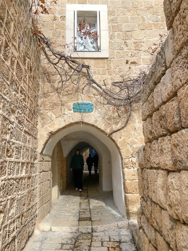 Lee & Pearl Went to ISRAEL — Part One. Join us as we explore Tel Aviv's history, architecture and amazing shopping — including the Old Jaffa flea market, Carmel Market, Levinksy Market, HaTikva Market, the weird and wonderful Dizengoff Center and the Nahalat Binyamin Street textile district, where we purchased fabulous fabric! Stay tuned next week as we venture out of Tel Aviv to Caesarea, Haifa and of course – Jerusalem.